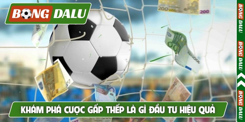 Khám phá cược gấp thếp là gì đầu tư hiệu quả